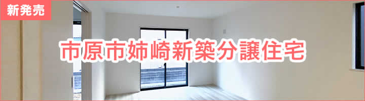 市原市姉崎新築分譲住宅